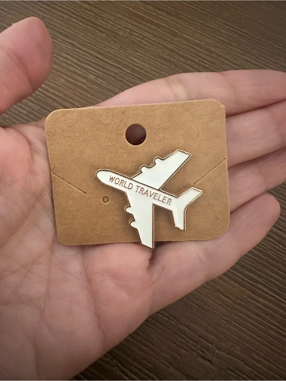 World Traveler Airplane Enamel Pin - Picture 5 of 6